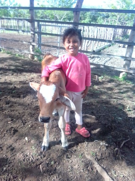 Mis tres hija👯🧚 conociendo a su amigo lucero🐄