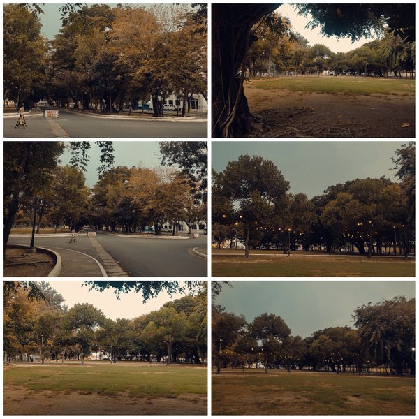 Taking Outdoor Pictures / Friday / Felt Like Ghost Town 