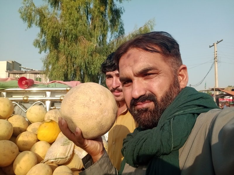 Melon Marvels 🍈Exploring the World of Sweetness 🍈aroma of sweet melons is very pleasant