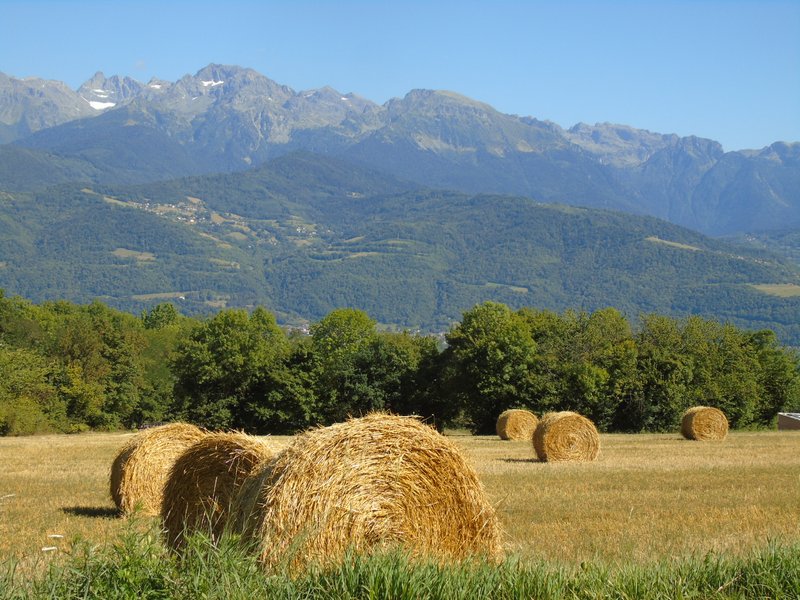 Paysage