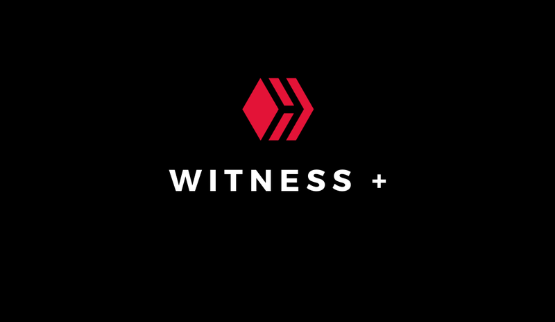 Strategic Vision for 2023 (Witness Update)