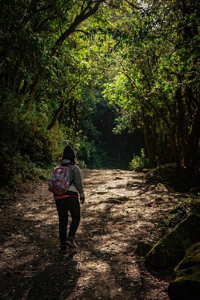 Walking the path (Eng/Esp)