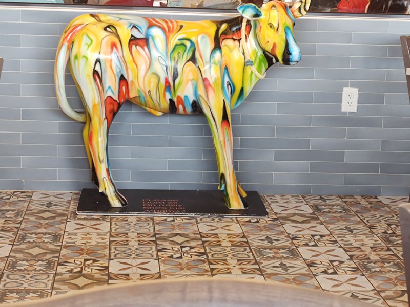 Cow Tripping