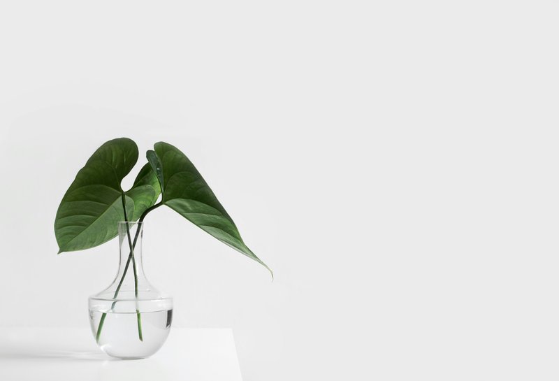 Simplicity || a five minute prompt 