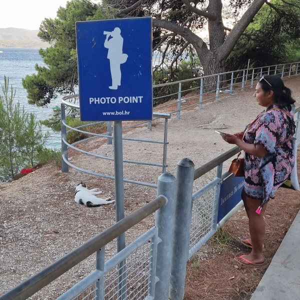 Purrfect photo point