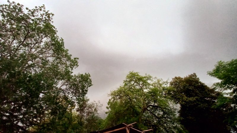 How pleasant life is on the plains during the winter/ Que agradable es la vida en el llano durante el invierno[ENG/ESP]