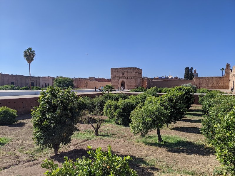 Rooftop Turtles & A Once-Great Palace - Day 1 Wanders in Marrakech - UNESCO Morocco