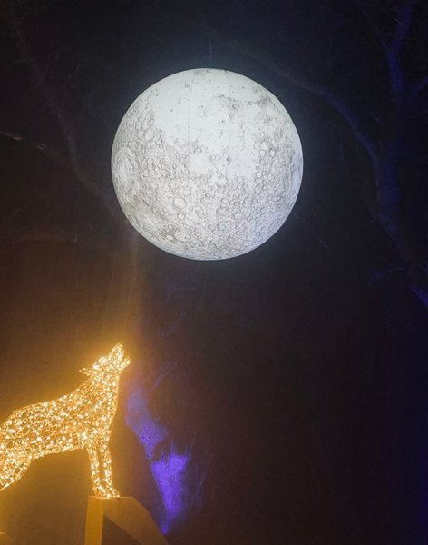 Did we really land on the Moon?  - Or did Hollywood beat NASA to it?