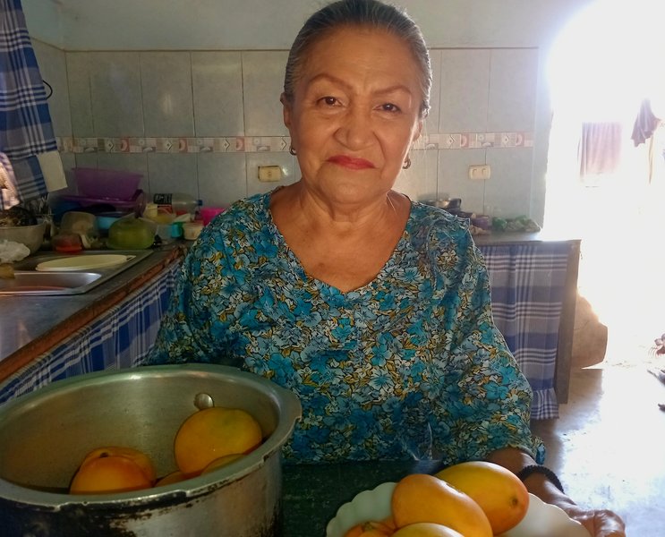 Preparación de un delicioso y nutritivo jugo de Mango.