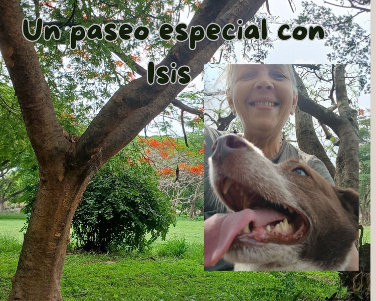 Un paseo especial con Isis (Esp/Eng)
