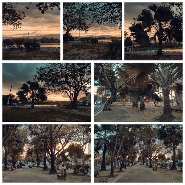 Low Key / Sunday / Dusk Walking