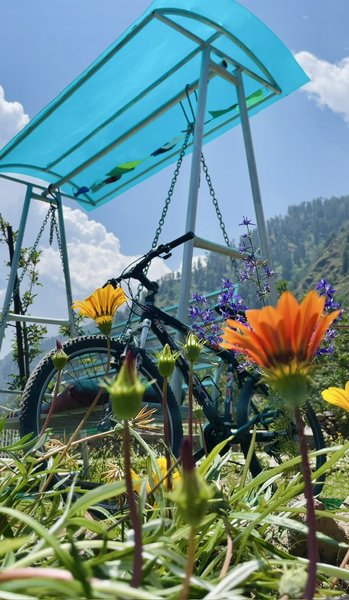 Progress of my home flower garden in the Himalayas.