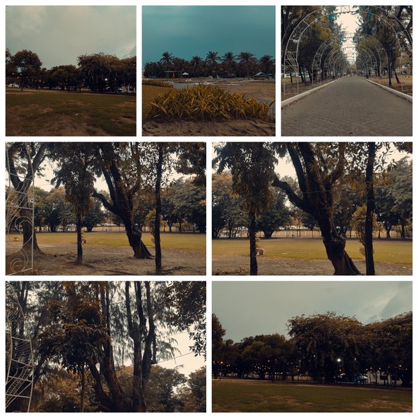 Chased By Dogs / Saturday / Sunday Afternoon Walk 