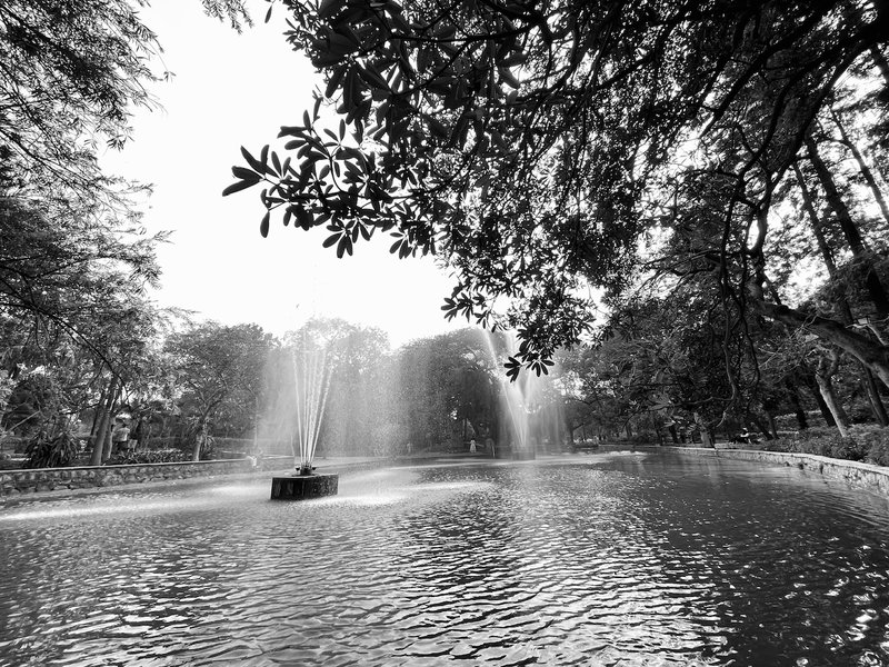 Exploring The hidden lake in the woods of south Delhi. #monomad challenge