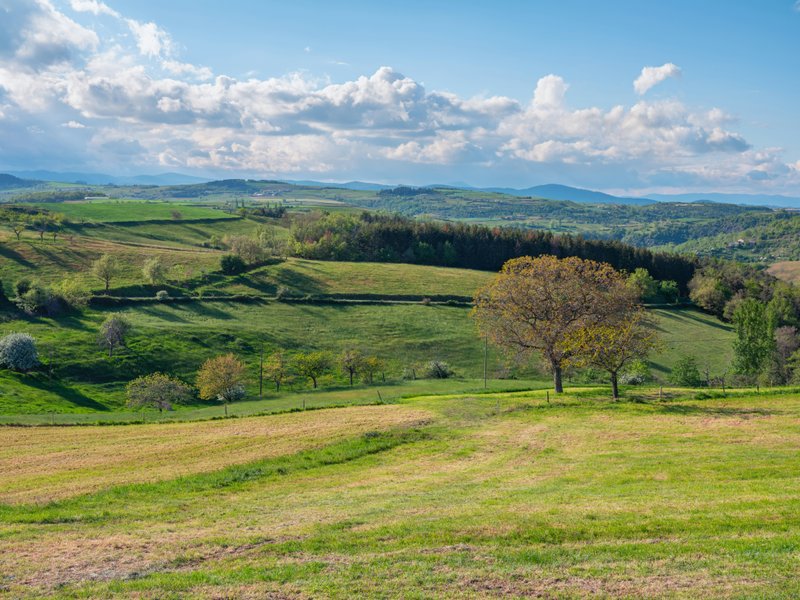 Pleasant Place || a five minute prompt 
