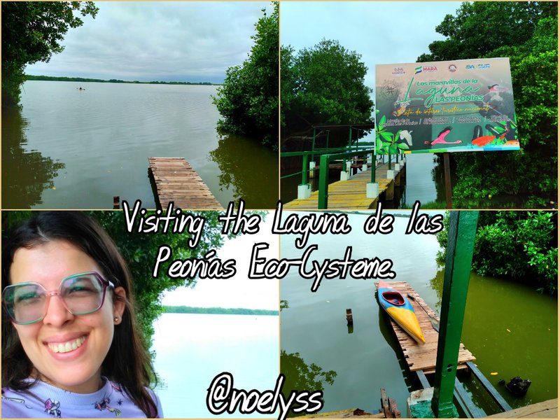 Visiting the Laguna de las Peonías Eco-Cysteme. | Visita al Ecosistema Laguna de las Peonías.