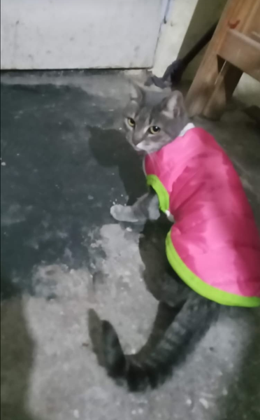 Mission on a winter night || Misión en una noche de invierno [Eng/Esp]