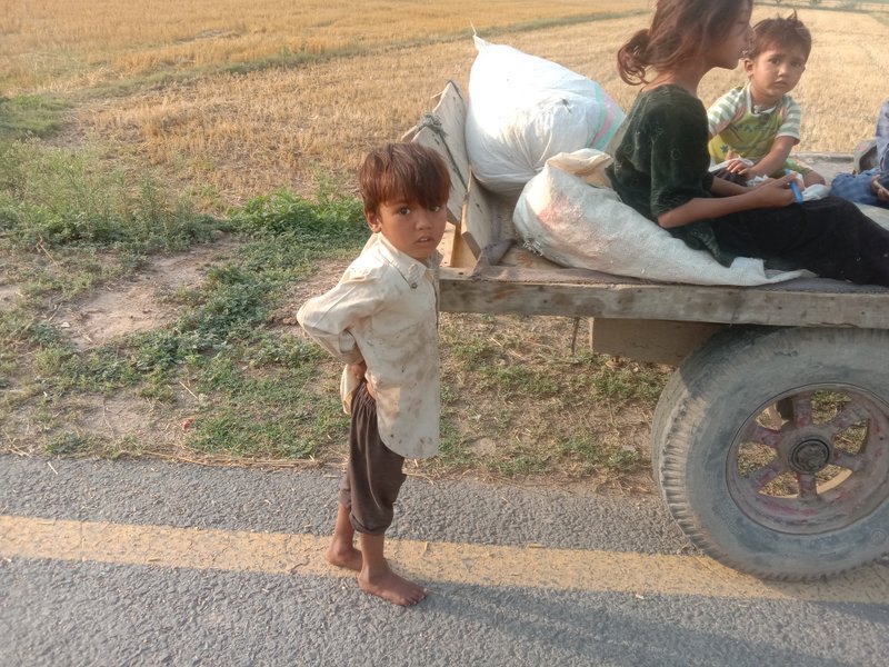 Let's Educate, Not Beg 🌻The Hidden Truth Behind Begging: A Call for Awareness and Action
