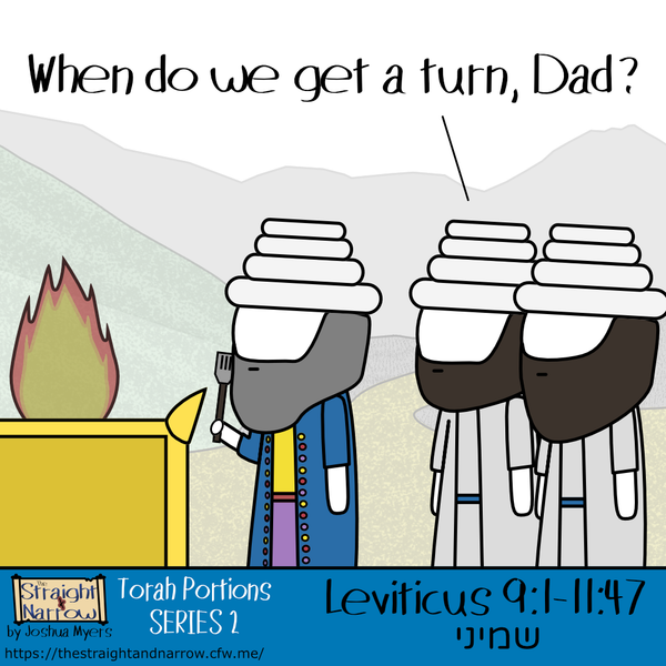 Torah Portions Series 2: שמיני (Eighth)