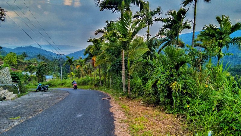 beautiful rural nature, full of peace of mind