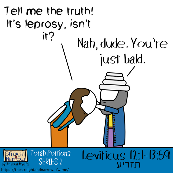 Torah Portions Series 2: תצריע–מזרע