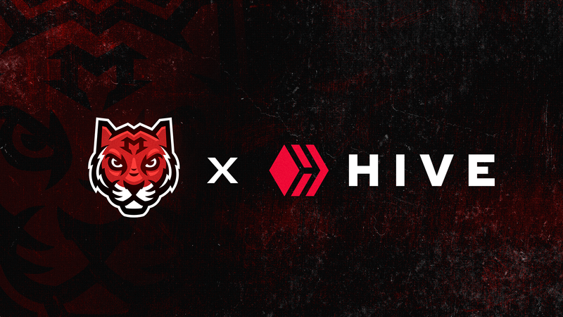 An Ongoing Partnership: Mazer and Hive