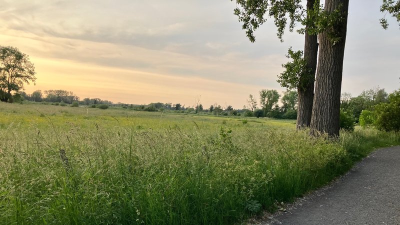 Day 2514 | Evening Walk & Kitchen Cleaning