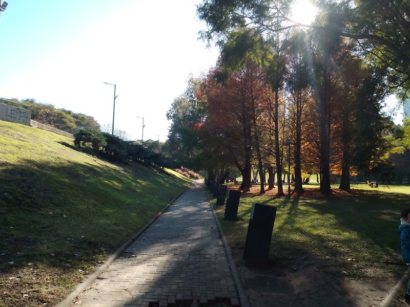 Paths in the Park || Caminos en el Osrqyey[Eng/Esp]