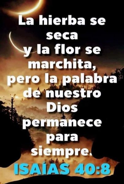 Breve comentario de la Biblia