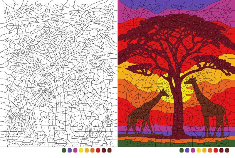 My new drawing. Safari Coloring Book.
