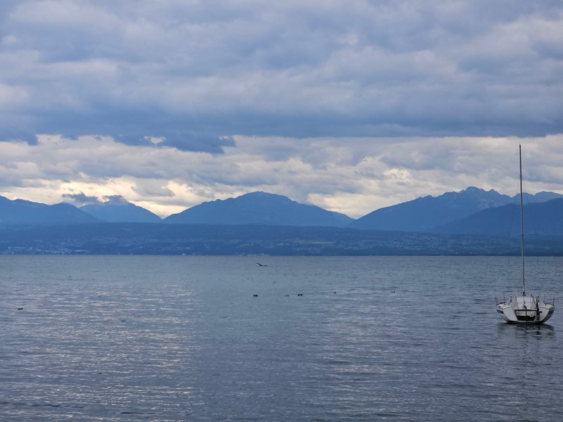 Scena suggestiva sul Lago Lemano 🛥️🌊