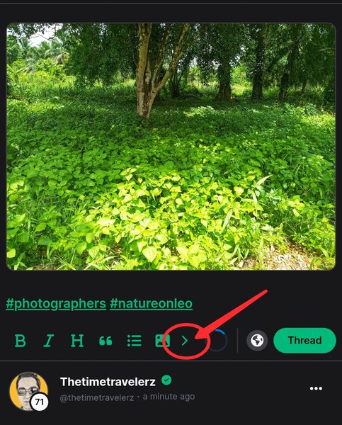How to add "Poll" to your micro blog (threads).