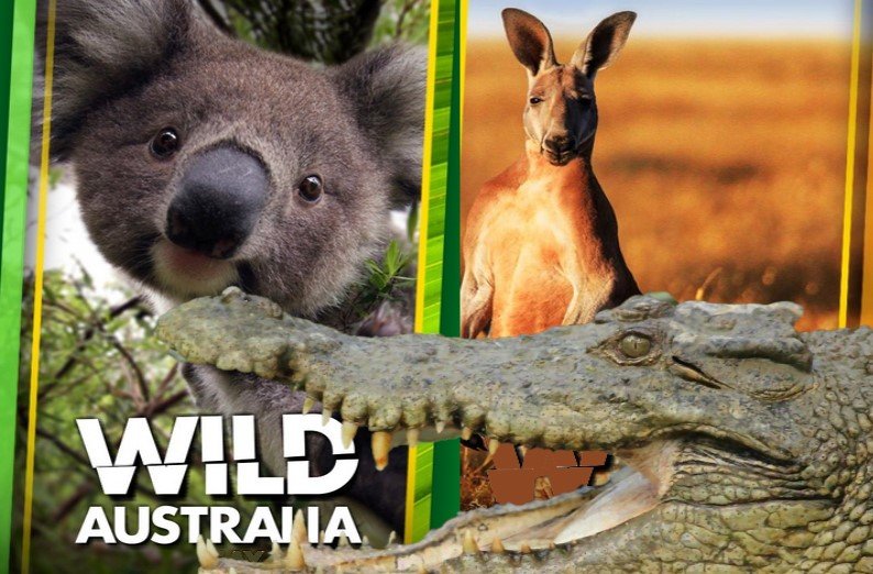 (ENG/SPA) The Ancient Red Heart of Wild Australia, Documentary Review