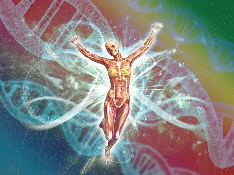 Is it the Spirit or the Genes that Live On?