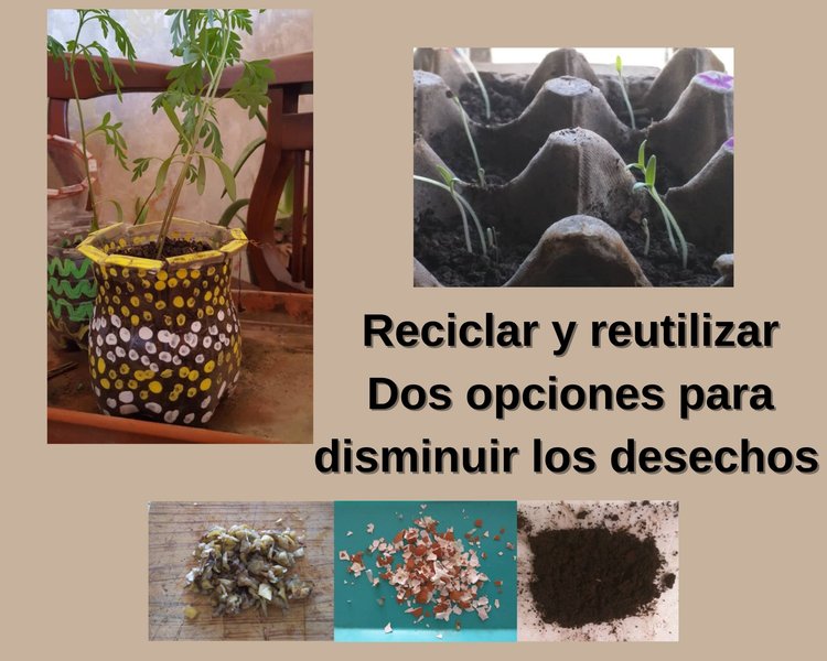 Reciclar o reutilizar dos opciones para disminuir desechos (Esp/Eng)
