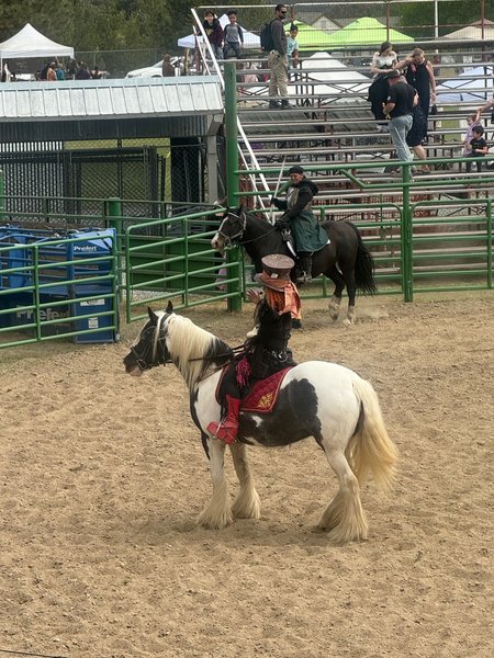 Horses and Harridans