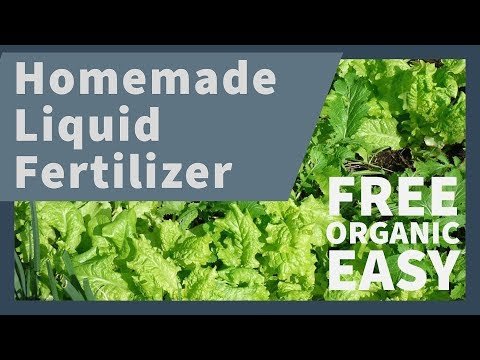How to make FREE ORGANIC Fertilizer for your Garden! :D