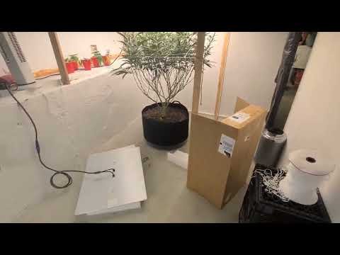Spider Farmer SF7000 Unboxing (Updated Samsung diodes)