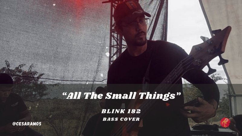 "All the small things" - Blink 182 (Bass Cover)