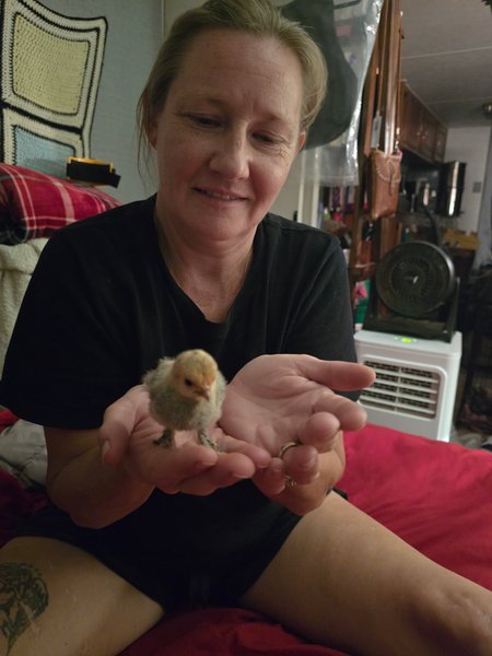 Getting Ready To Hatch!