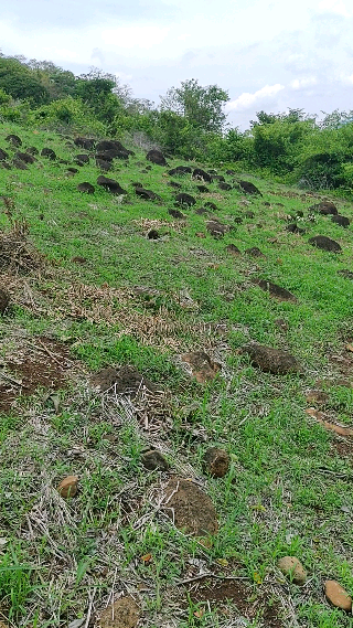 The danger in the mountains.