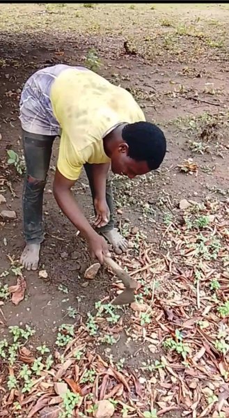Time for farmers to shine. Agriculture is our lives