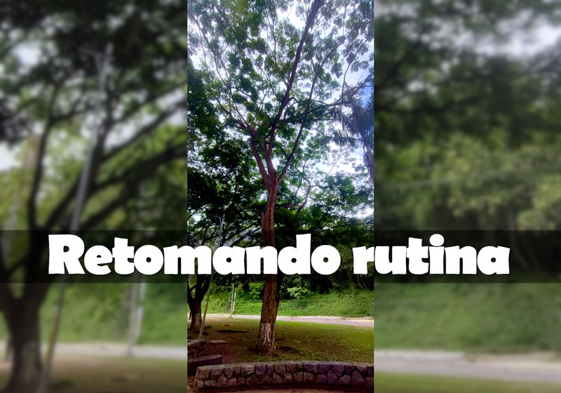 Retomando rutina