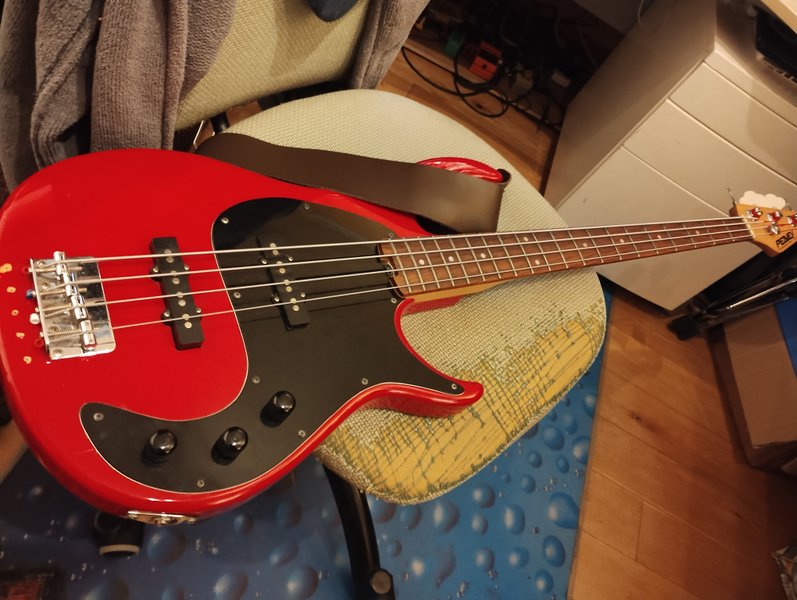 Bass instincts