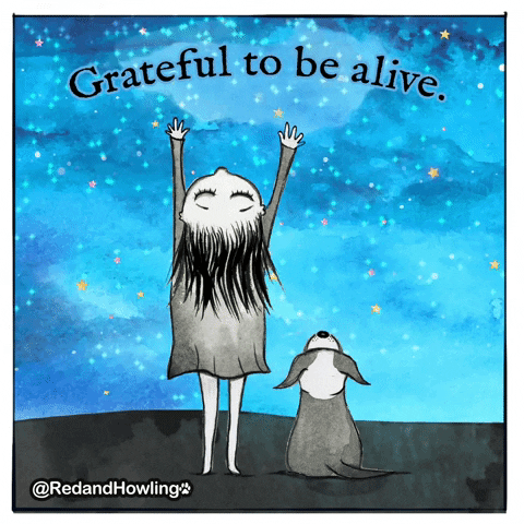 SUNDAY MEDITATION SERIES (#6) - Gratitude Is The True Catalyst of Joy.