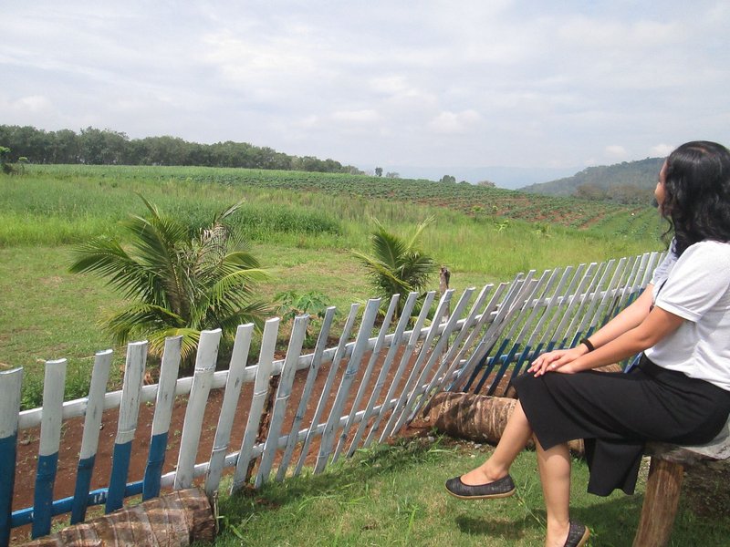 What Makes Me Go Back to Bukidnon Again and Again?