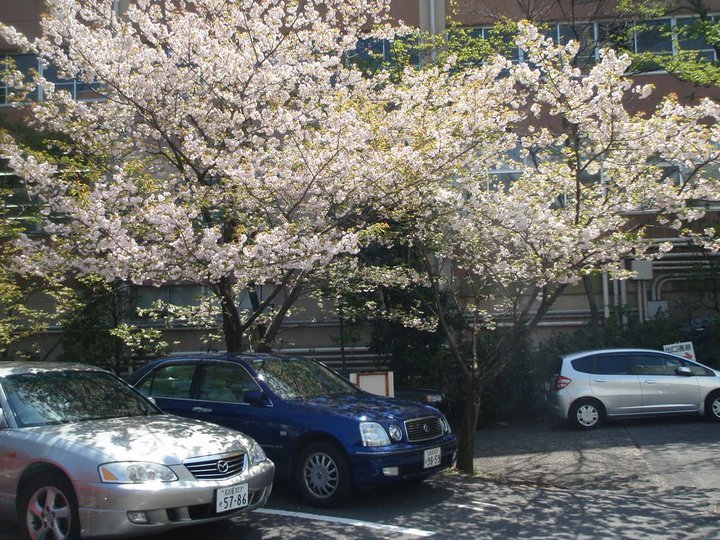 The Five (5) Reasons Why I'm Amazed with Tokyo