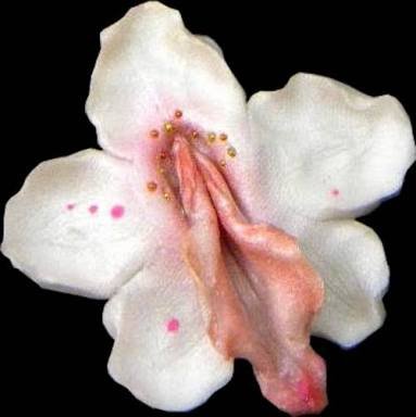 VAGINA CARE TIPS