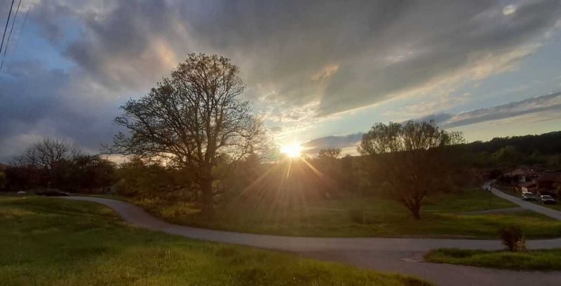 My Actifit Report Card: May 13 2025