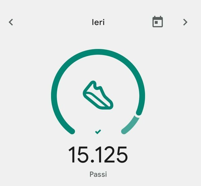 Il mio Report Actifit: Novembre 23 2023